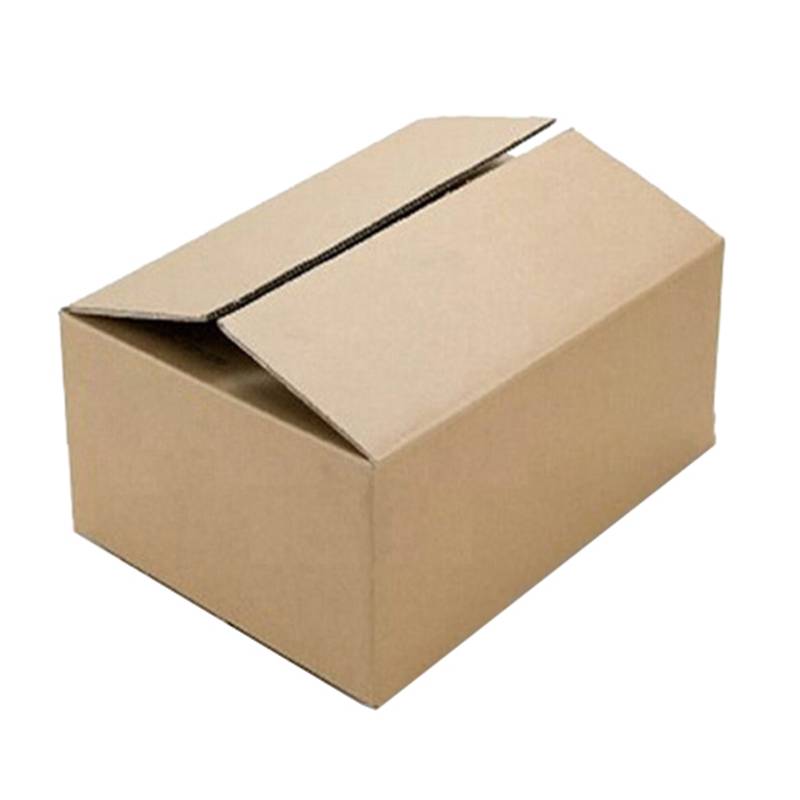Carton Packing Box Master Carton - 42X37X24 - White