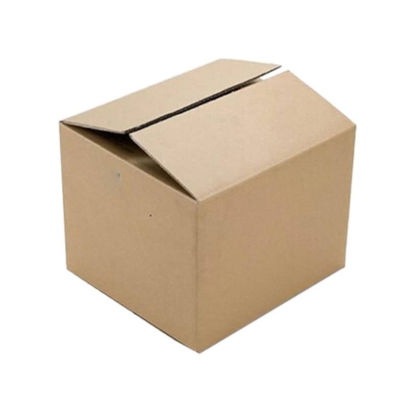 Carton Packing  Box Master Carton - 55X42X42 - White