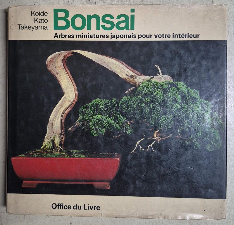 Bonsai arbres miniatures japonais pour votre intérieur / en francés