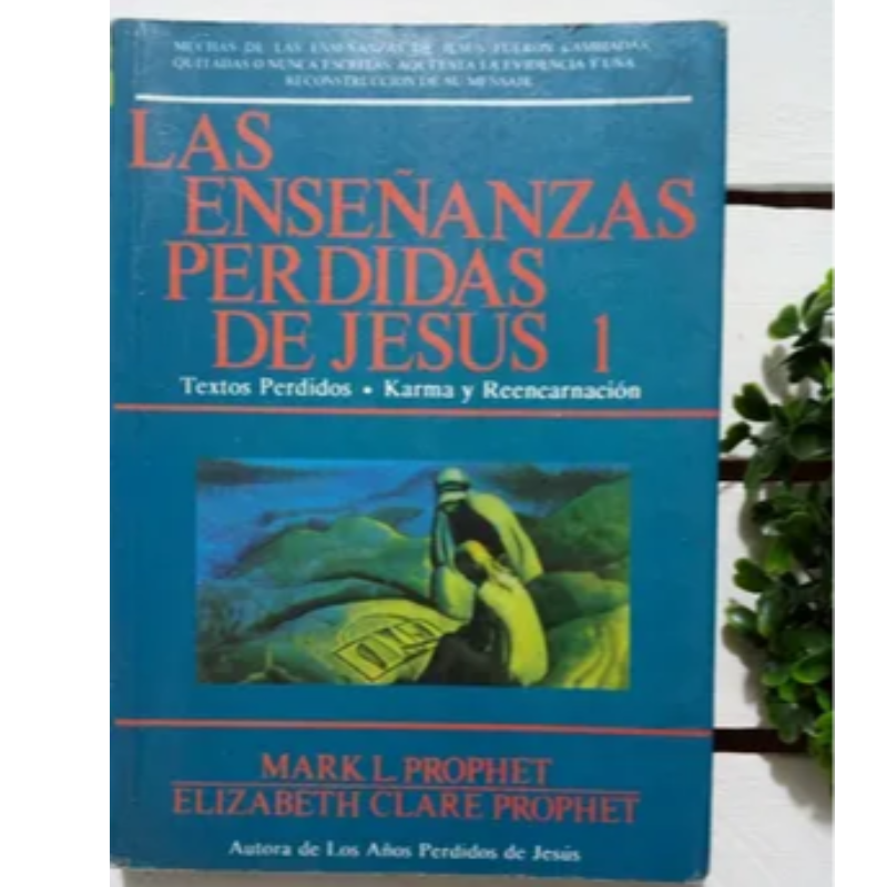 Las Enseñanzas Perdidas De Jesús 1