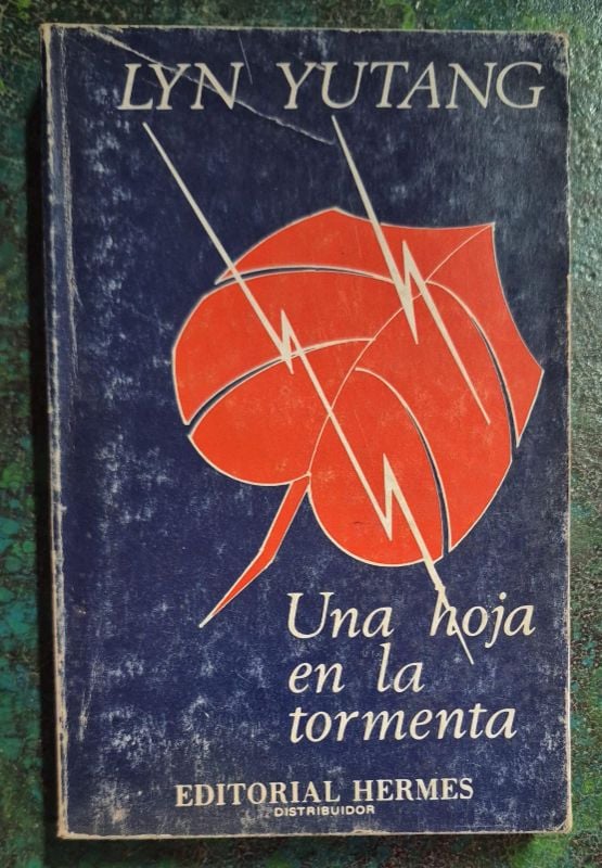 Una hoja en la tormenta