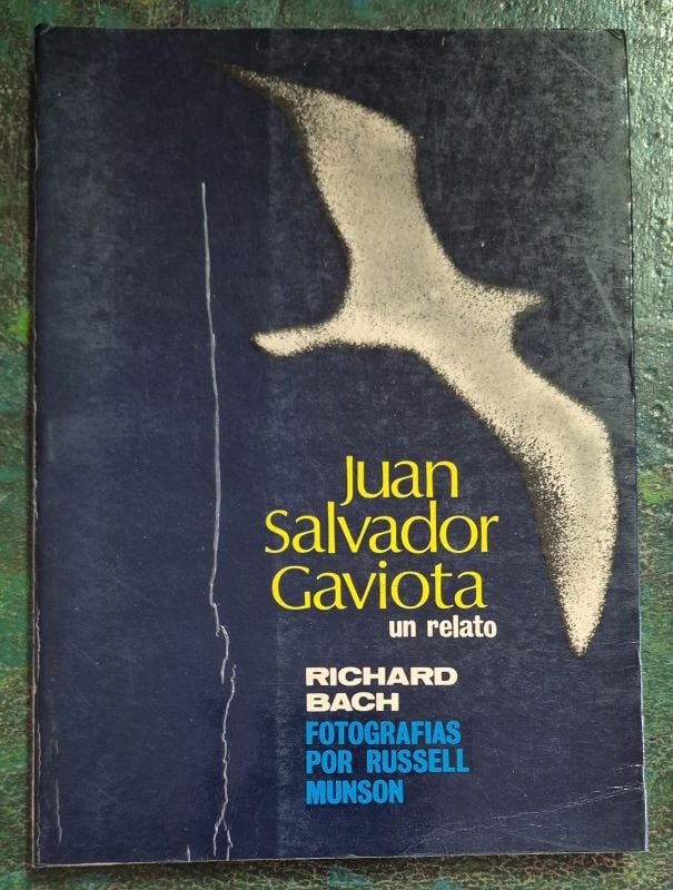 Juan Salvador Gaviota
