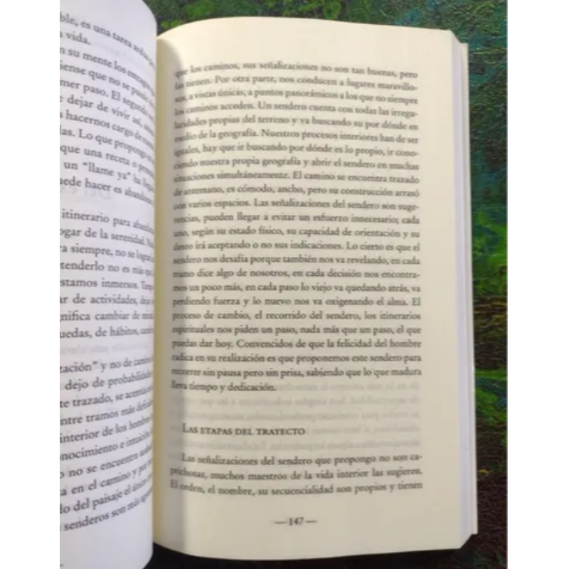 De La Velocidad A La Serenidad