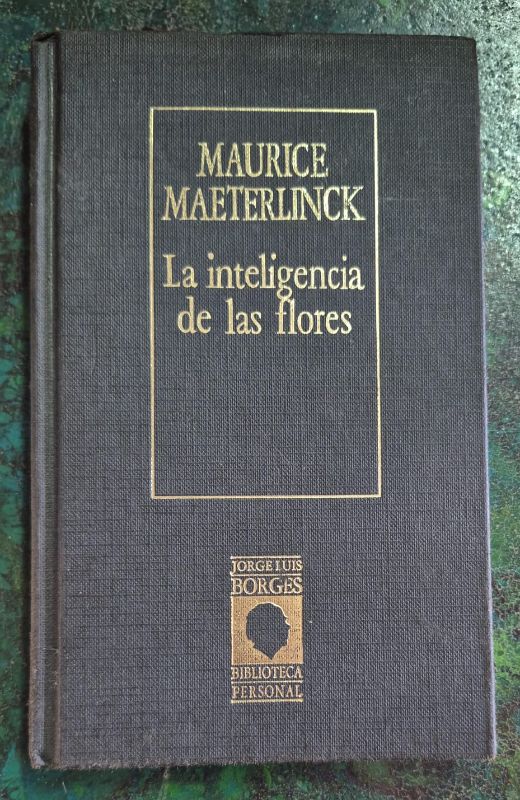 La inteligencia de las flores