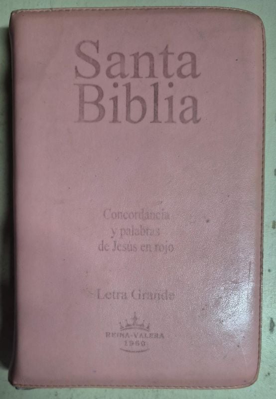 Santa Biblia / Letra grande