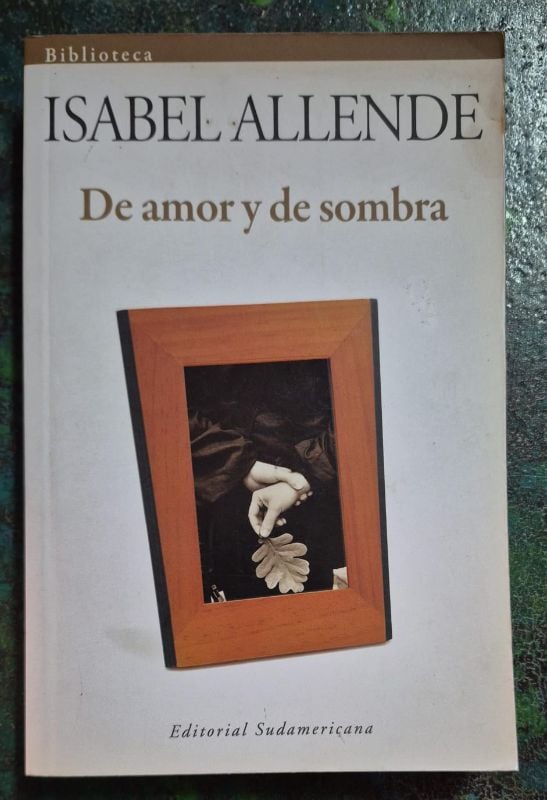 De amor y de sombra