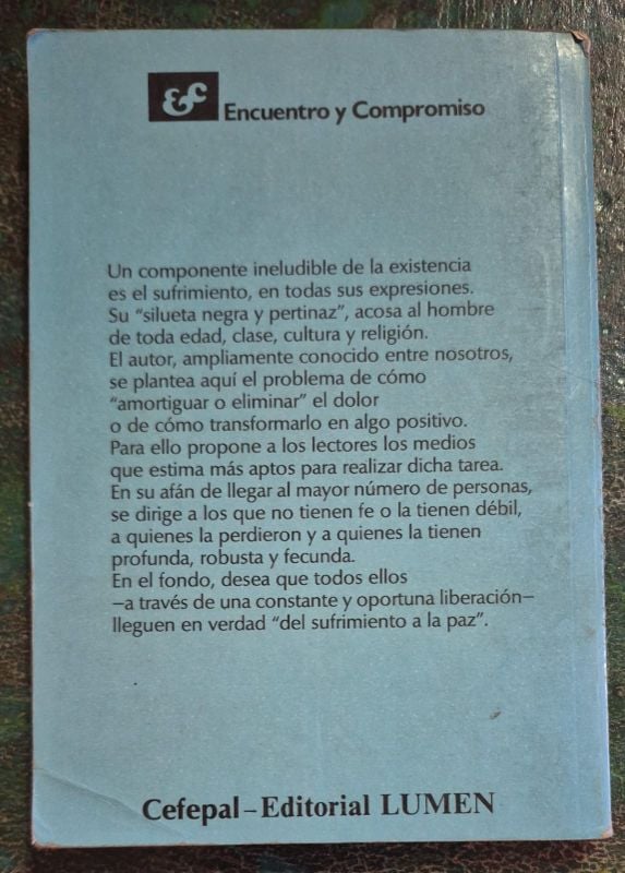 Del sufrimiento a la paz