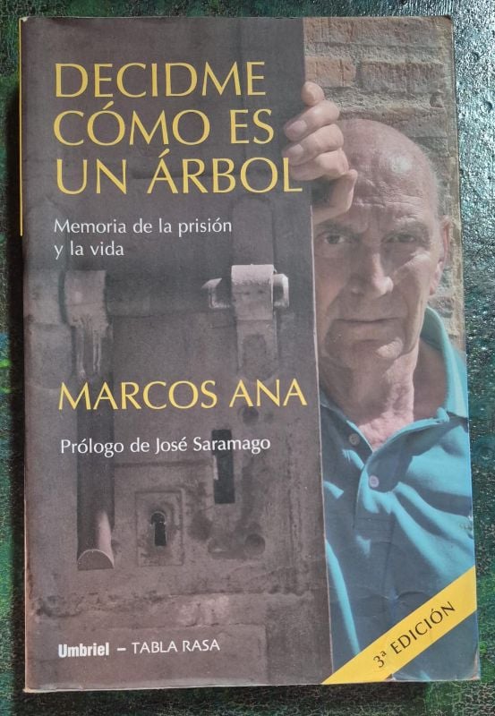 Decidme cómo es un árbol