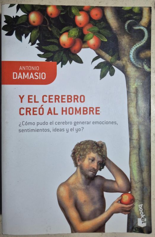 Y el cerebro creó al hombre
