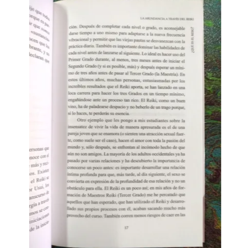 La Abundancia A Través Del Reiki