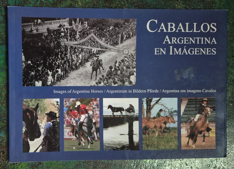 Caballos Argentina en imágenes