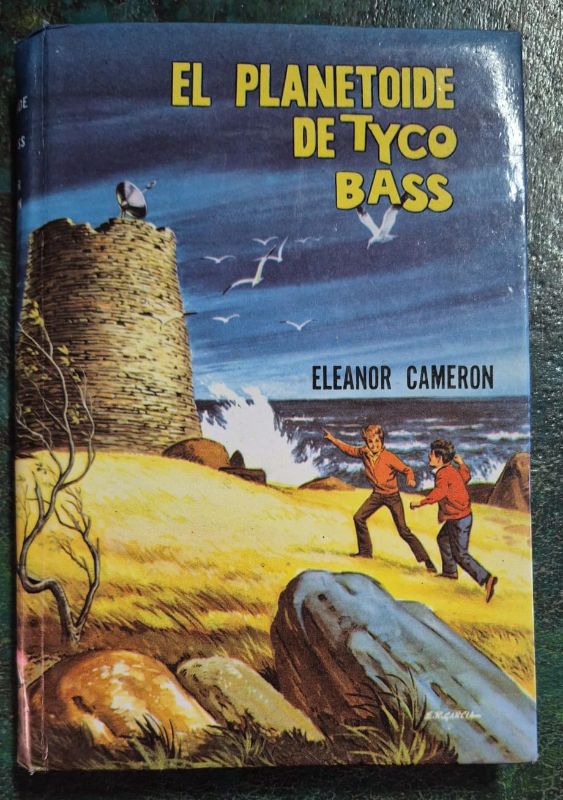 El planetoide de Tyco Bass