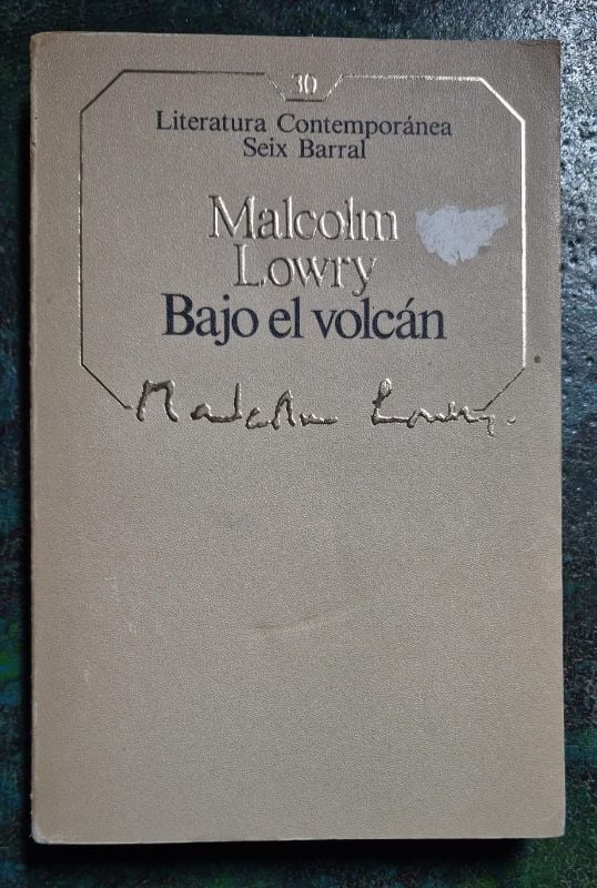Bajo el volcán
