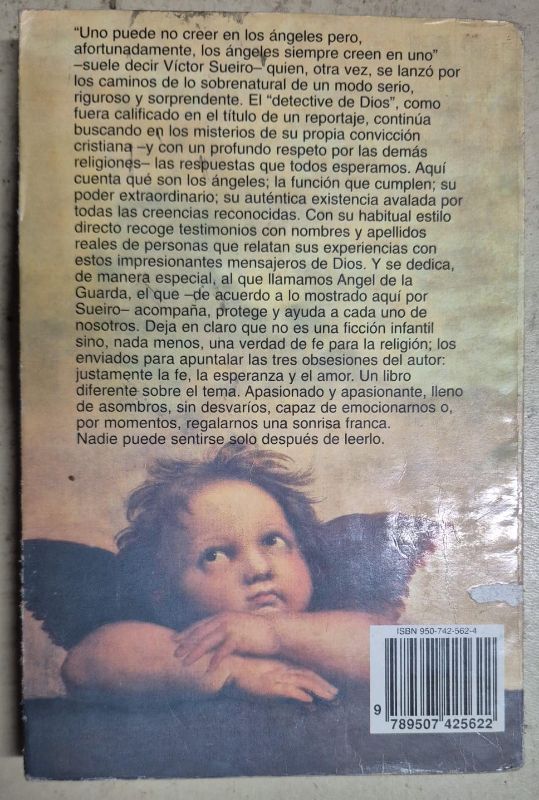 El ángel un amigo del alma