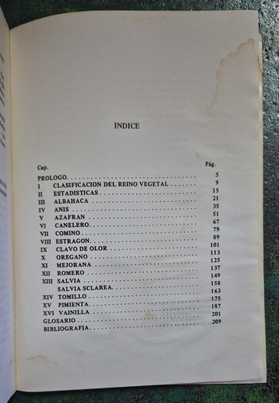 Cultivo de plantas aromaticas para condimento