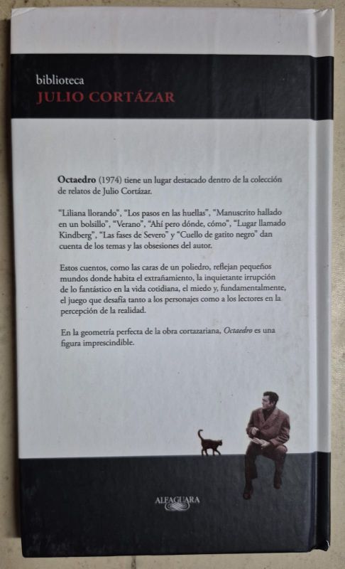 Biblioteca Julio Cortazar / Octaedro