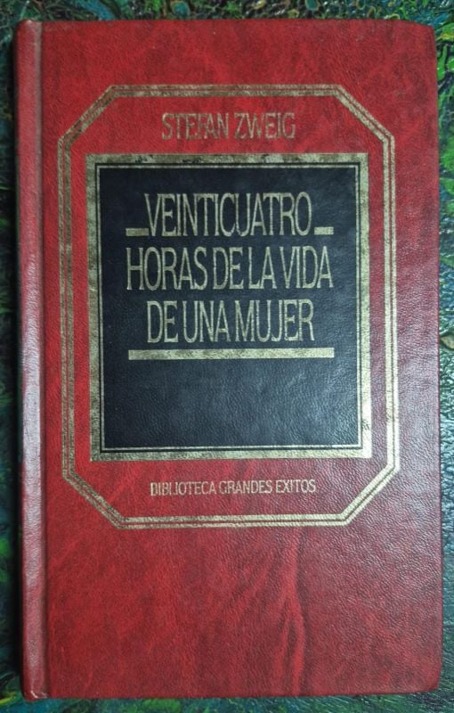 Veinticuatro horas de la vida de una mujer