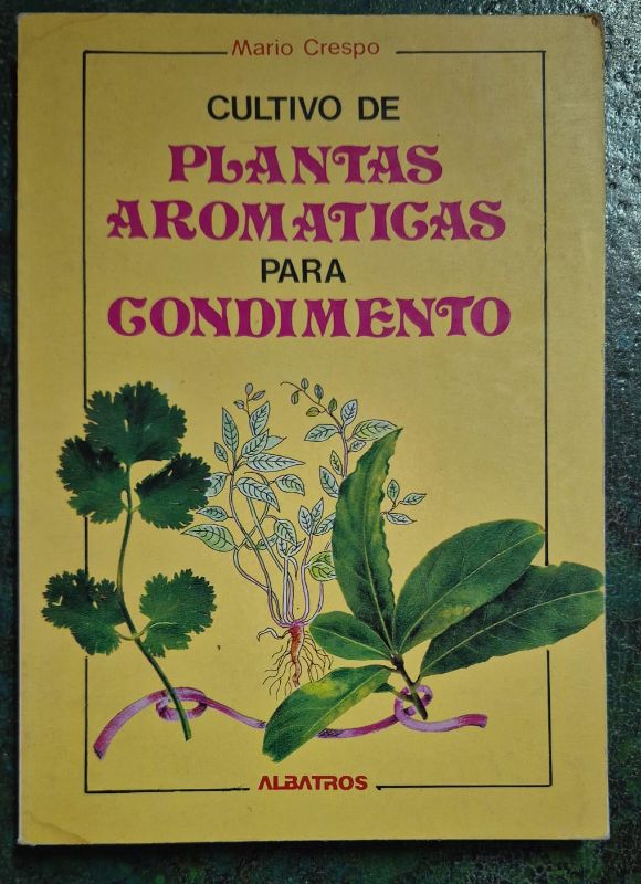 Cultivo de plantas aromaticas para condimento