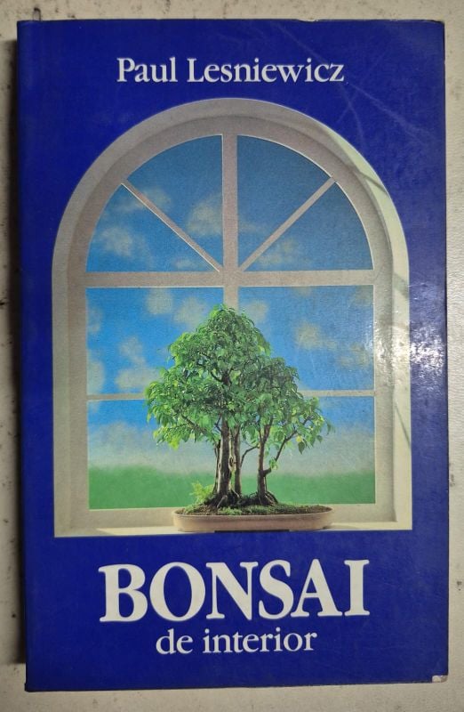 Bonsai de interior