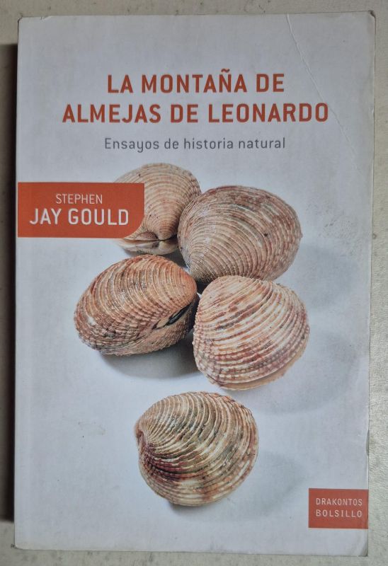 La montaña de almejas de Leonardo