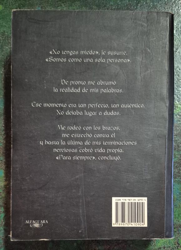 Amanecer / Crepúsculo 4