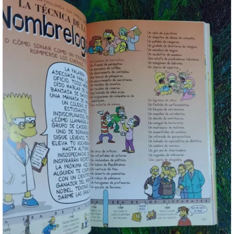 Guía Para La Vida Bart Simpson
