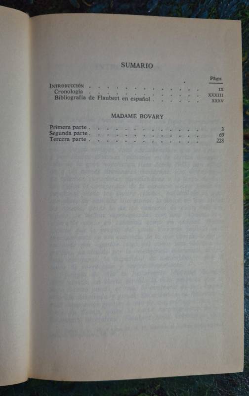 Madame Bovary