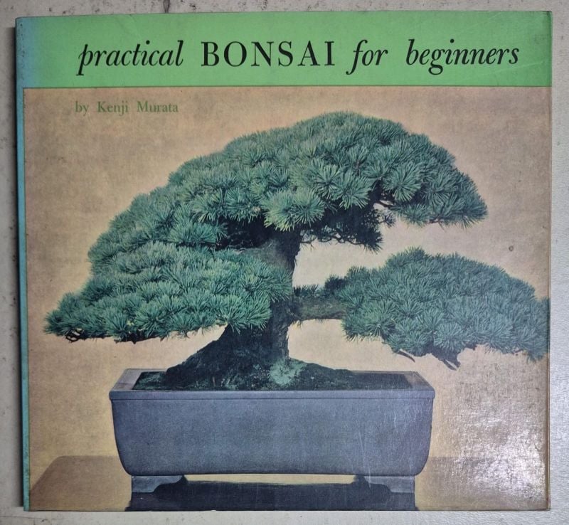 Practical Bonsai for beginners / en inglés