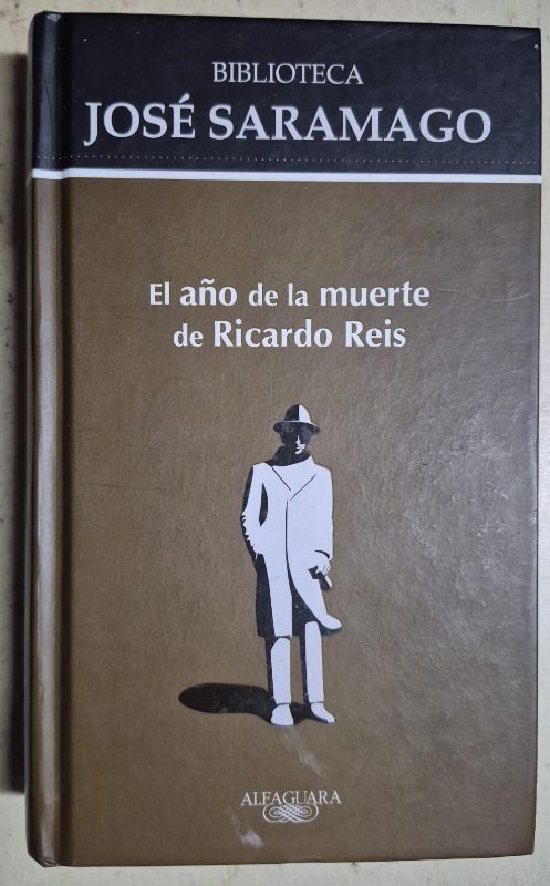 El año de la muerte de Ricardo Reis