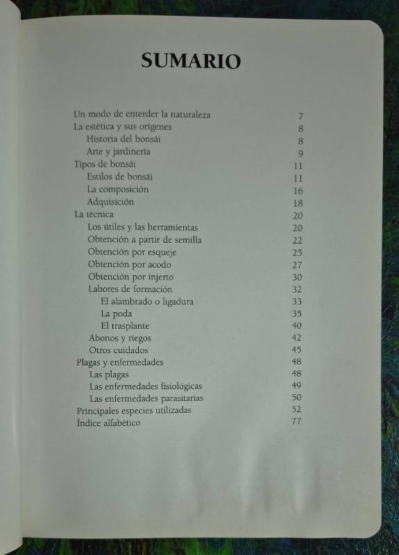 Tu jardín El bonsái