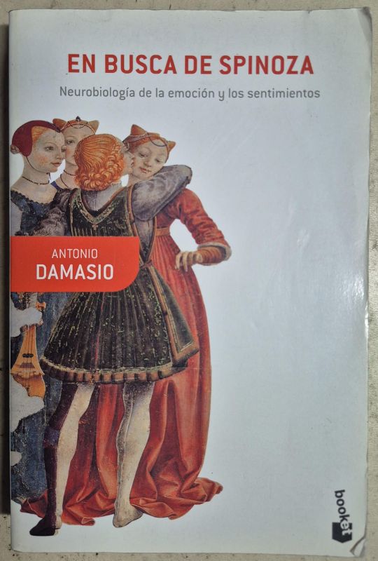 En busca de spinoza
