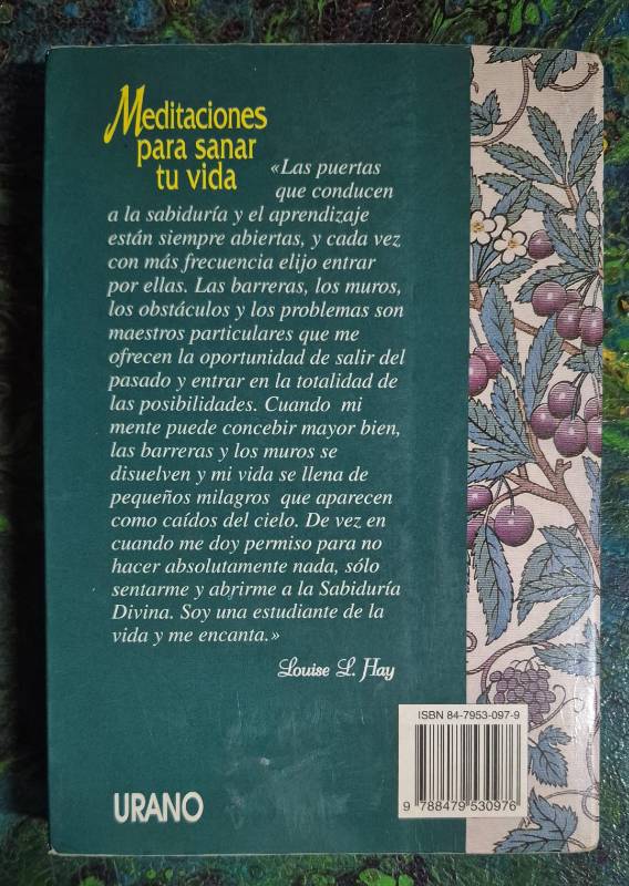 Meditaciones para sanar tu vida
