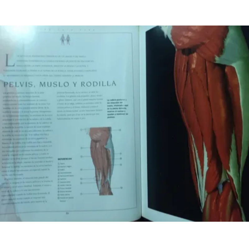 Nuevo Atlas Del Cuerpo Humano Tomos 1 2 Y 3