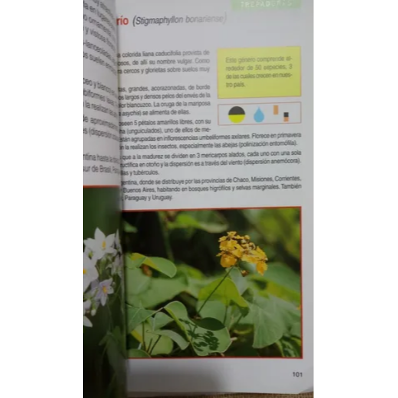 100 Plantas Argentinas
