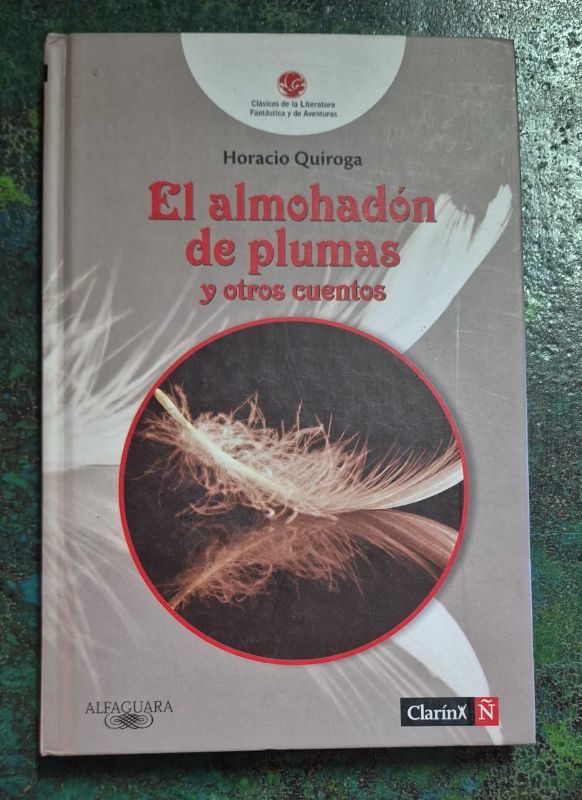 El almohadón de plumas y otros cuentos