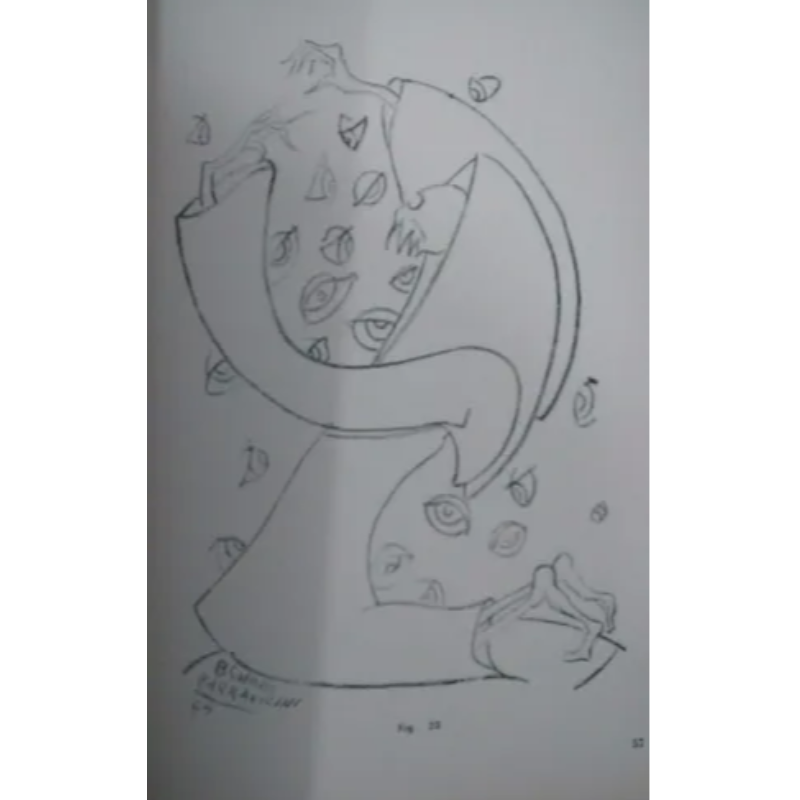 Dibujos Proféticos Benjamín Solari Parravicini