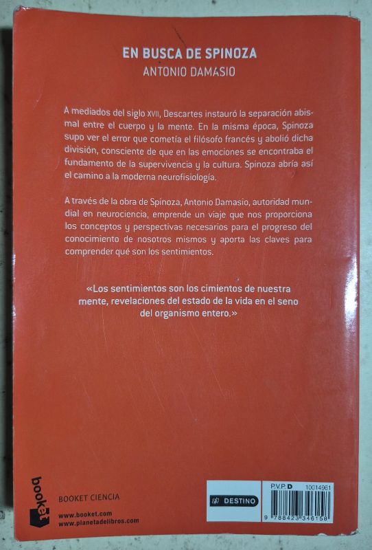 En busca de spinoza