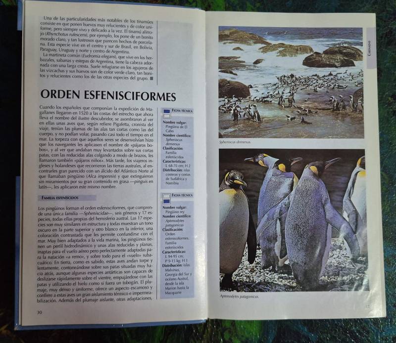 Guías visuales Aves