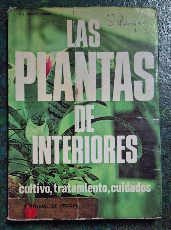 Las plantas de interiores