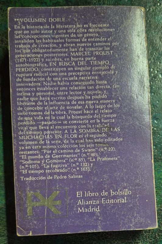 En busca del tiempo perdido 2 A la ssombra de las muchachas en flor