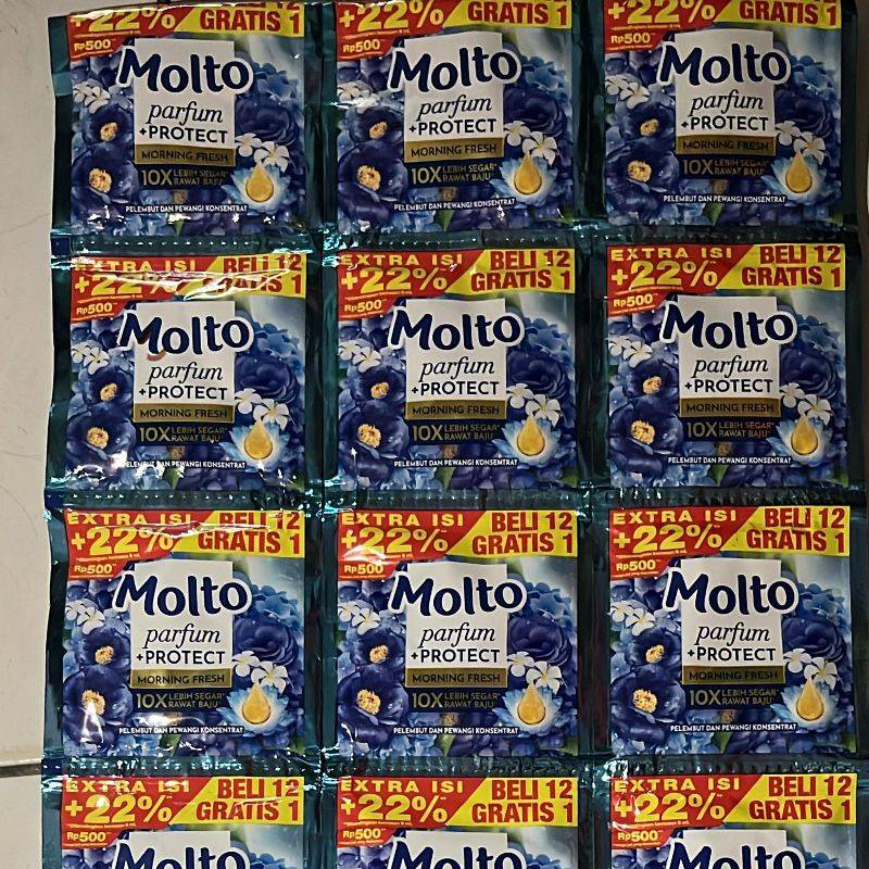 MOLTO BIRU 11ML E-500*30