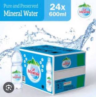 LEE MINERAL BTL 600ML*24