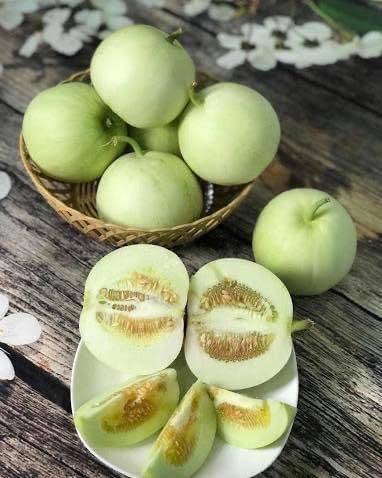 Dưa Lê Siêu Ngọt POPOCA