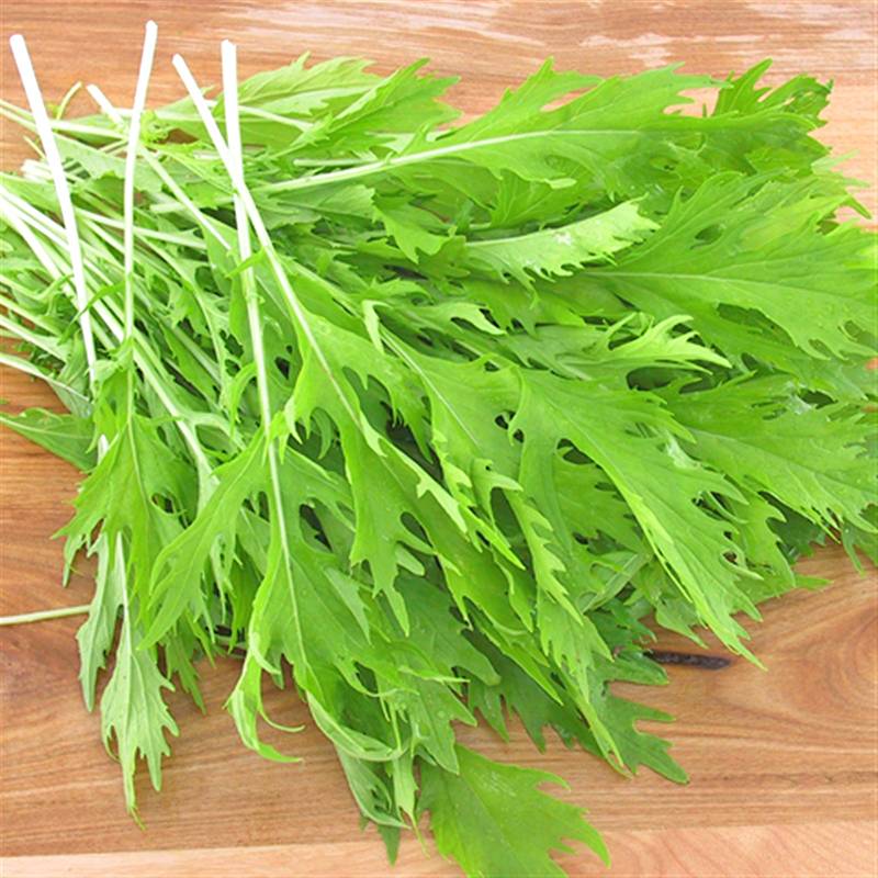 Cải Bẹ Xanh Ngọt Đuôi Phụng RD133