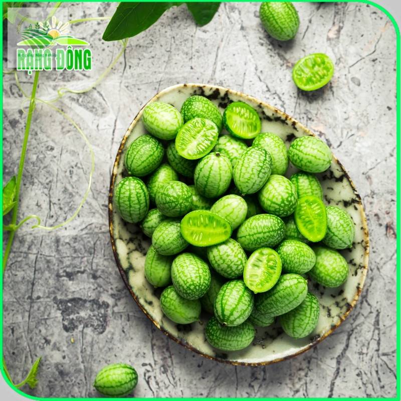 Dưa Hấu Tí Hon RADO 314