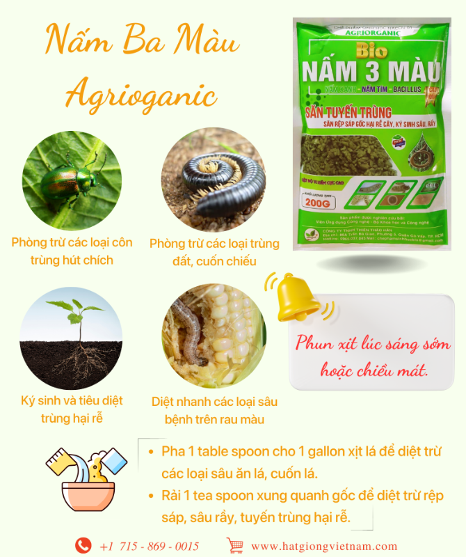 Nấm 3 Màu Agrioganic