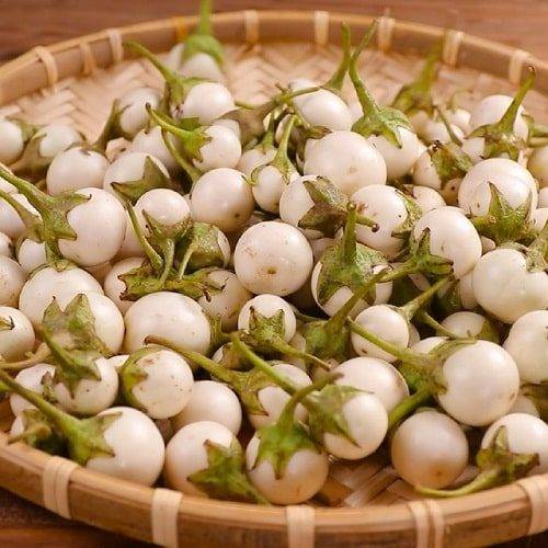 Cà Pháo Trắng RD72