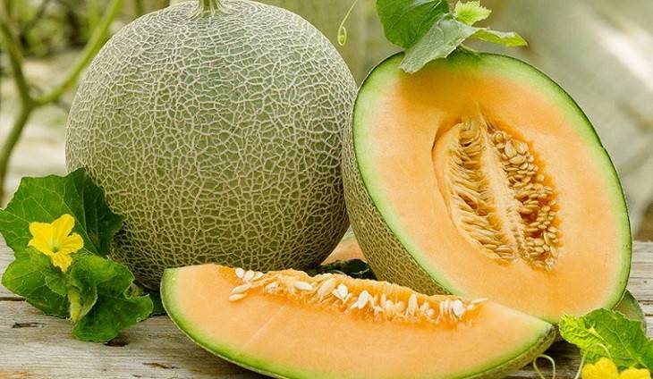 Hạt Giống Dưa Lưới Ruột Vàng [ Home Garden - Thái Lan ]