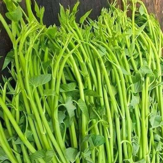 Rau Muống Thái Siêu Ngọn