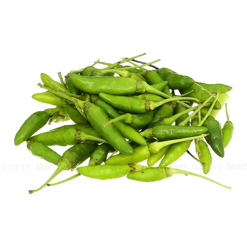 Ớt Xiêm Xanh RD531
